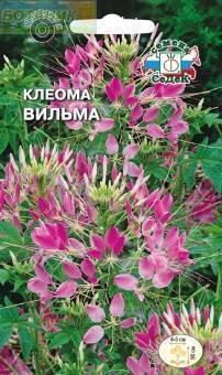 Купить оптом в Ботанике семена Клеома Вильма Сед бренд СеДеК