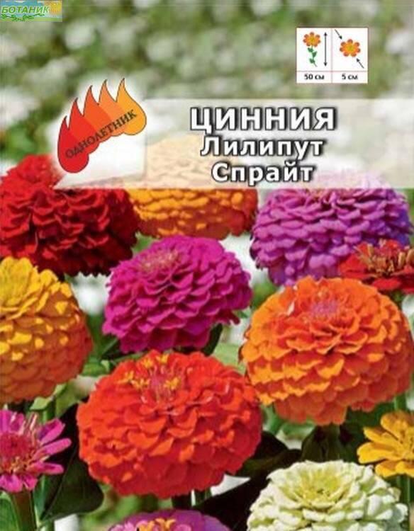 Купить оптом в Ботанике семена Цинния Лилипут Спрайт Аэл бренд Аэлита