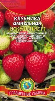 Купить оптом в Ботанике семена Клубника Искушение ампельная F1 Плз бренд Плазмас
