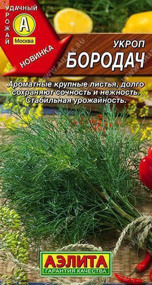 Купить оптом в Ботанике семена Укроп Бородач Аэл бренд Аэлита