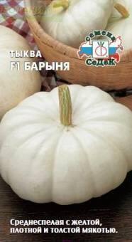 Купить оптом в Ботанике семена Тыква Барыня F1 Сед бренд СеДеК