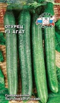 Купить оптом в Ботанике семена Огурец Агат F1 Сед бренд СеДеК