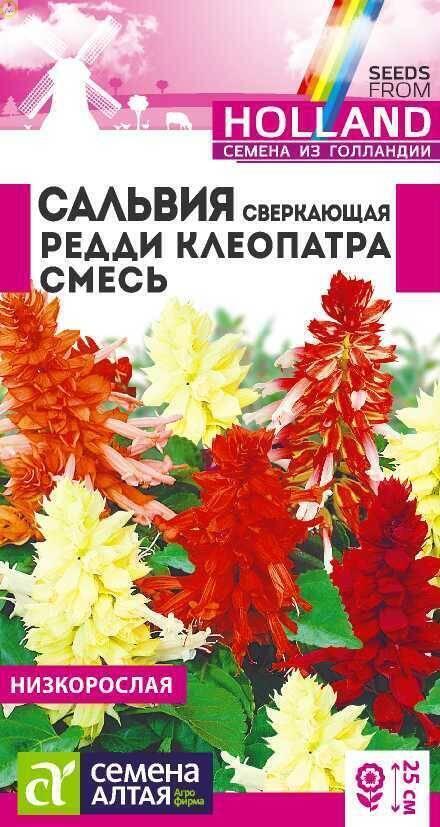 Купить оптом в Ботанике семена Сальвия Редди Клеопатра сверкающая СА бренд Семена Алтая