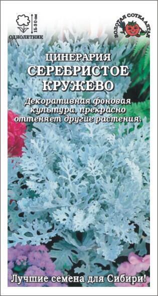 Купить оптом в Ботанике семена Цинерария Серебристое кружево ЗС бренд Золотая сотка