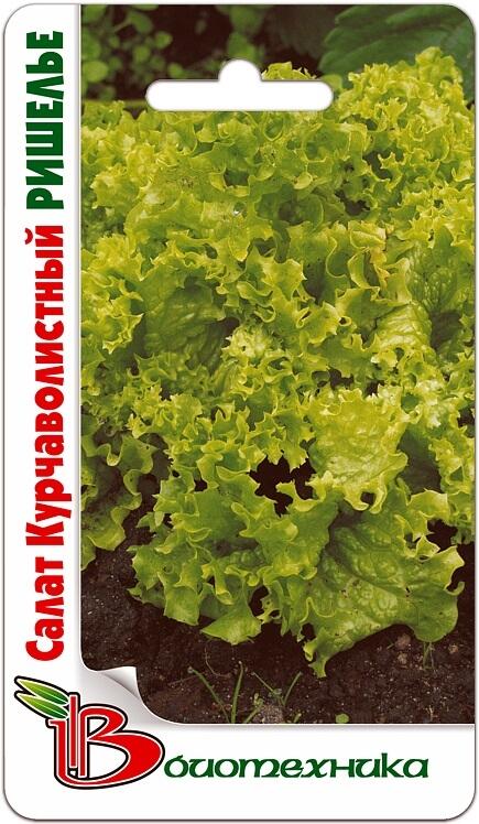 Купить оптом в Ботанике семена Салат Ришелье 350 шт Био бренд Биотехника