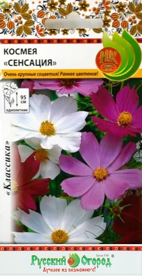 Купить оптом в Ботанике семена Космея Сенсация НК бренд НК