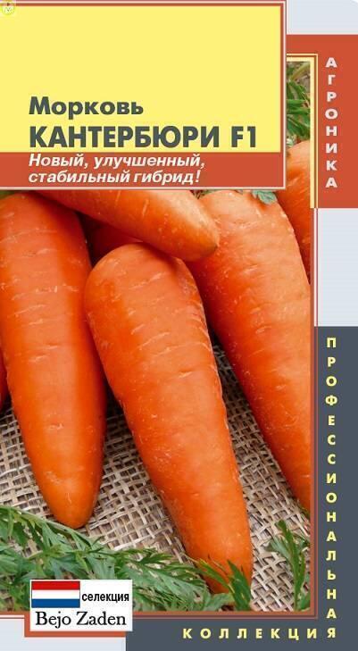 Купить оптом в Ботанике семена Морковь Кантербюри F1 Плз бренд Плазмас