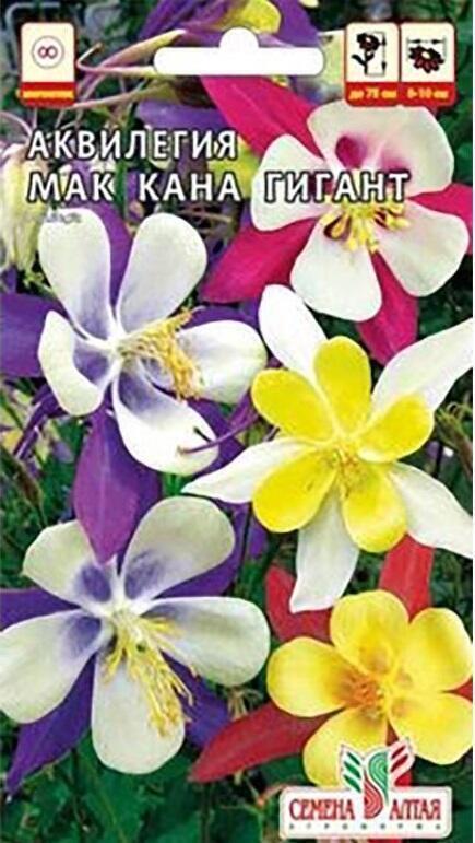 Купить оптом в Ботанике семена Аквилегия Мак Кана гигант СА бренд Семена Алтая