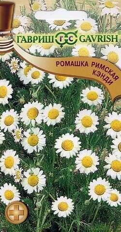 Купить оптом в Ботанике семена Ромашка Кэнди римская Гав бренд Гавриш