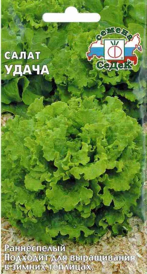 Купить оптом в Ботанике семена Салат Удача Сед бренд СеДеК