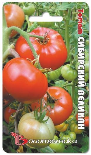 Купить оптом в Ботанике семена Томат Сибирский великан Био бренд Биотехника