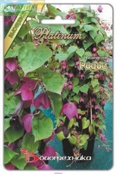 Купить оптом в Ботанике семена Родохитон Родос Био бренд Биотехника