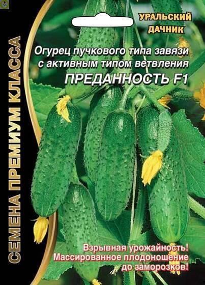 Купить оптом в Ботанике семена Огурец Преданность F1 УД бренд Уральский дачник