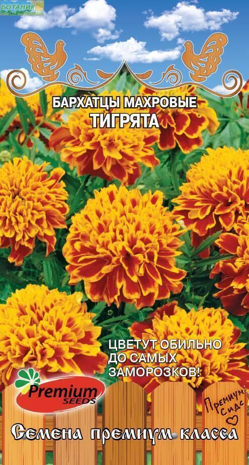 Купить оптом в Ботанике семена Бархатцы Тигрята махровые отклоненные ПС бренд Премиум Сидс