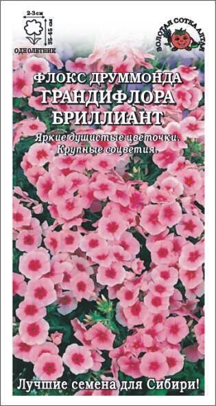Купить оптом в Ботанике семена Флокс Грандифлора Бриллиант ЗС бренд Золотая сотка