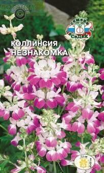 Купить оптом в Ботанике семена Коллинсия Незнакомка смесь Сед бренд СеДеК