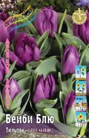 Продолжается приём заказов Осень 2022 года на Луковичные от производителя Colorline ™