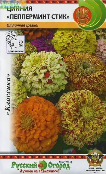 Купить оптом в Ботанике семена Цинния Пеперминт Стик НК бренд НК