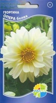 Купить оптом в Ботанике семена Георгина Опера белая Акв бренд Акварель