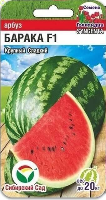 Купить оптом в Ботанике семена Арбуз Барака F1 СС бренд Сиб.сад