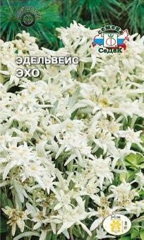 Купить оптом в Ботанике семена Эдельвейс Эхо Сед бренд СеДеК