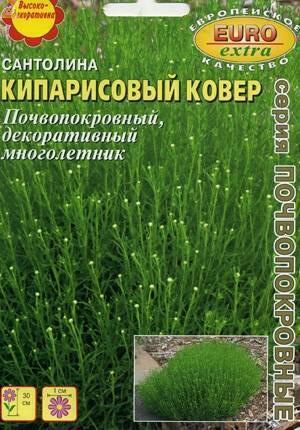 Купить оптом в Ботанике семена Сантолина Кипарисовый ковер Аэл бренд Аэлита