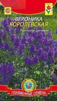 Купить оптом в Ботанике семена Вероника Королевская Плз бренд Плазмас