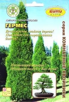 Купить оптом в Ботанике семена Кипарис Гермес гималайский Аэл бренд Аэлита