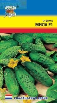 Купить оптом в Ботанике семена Огурец Мила УУ бренд Урожай Удачи