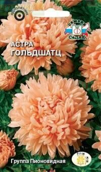 Купить оптом в Ботанике семена Астра Гольдшац Сед бренд СеДеК