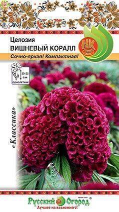 Купить оптом в Ботанике семена Целозия Вишневый коралл НК бренд НК
