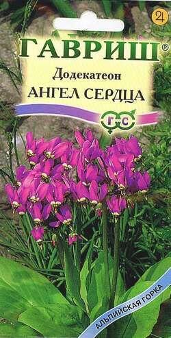 Купить оптом в Ботанике семена Додекатеон Ангел сердца Гав бренд Гавриш