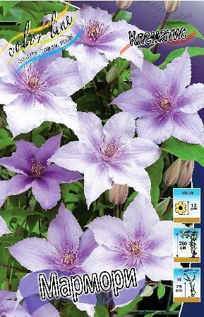 Купить оптом в Ботанике Клематис Мармори 2 шт