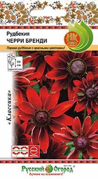 Купить оптом в Ботанике семена Рудбекия Черри Бренди НК бренд НК