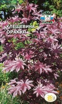 Купить оптом в Ботанике семена Клещевина Оракул Сед бренд СеДеК