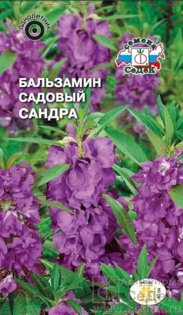 Купить оптом в Ботанике семена Бальзамин Сандра Сед бренд СеДеК