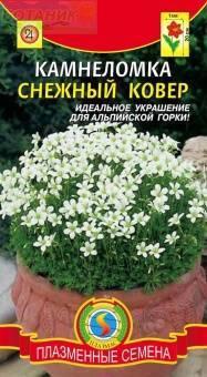 Купить оптом в Ботанике семена Камнеломка Снежный ковер Плз бренд Плазмас