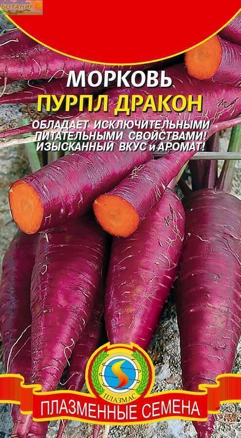 Купить оптом в Ботанике семена Морковь Пурпл дракон Плз бренд Плазмас