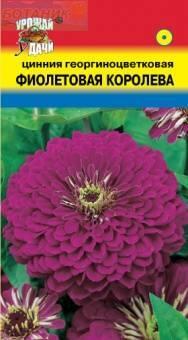 Купить оптом в Ботанике семена Цинния Фиолетовая королева УУ бренд Урожай Удачи