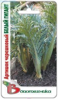 Купить оптом в Ботанике семена Артишок Белый гигант (Кардон) Био бренд Биотехника