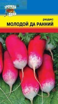 Купить оптом в Ботанике семена Редис Молодой-да-ранний УУ бренд Урожай Удачи