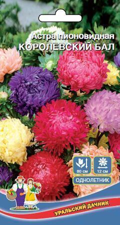 Купить оптом в Ботанике семена Астра Королевский бал УД бренд Уральский дачник