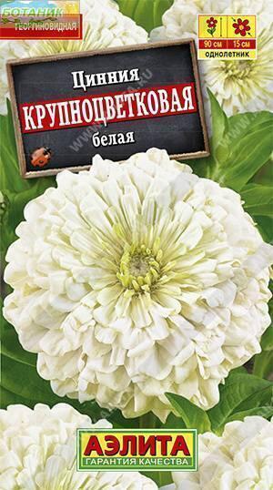 Купить оптом в Ботанике семена Цинния Крупноцветковая белая Аэл бренд Аэлита