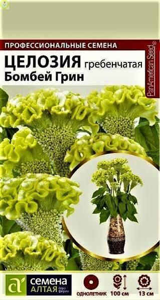 Купить оптом в Ботанике семена Целозия Бомбей Грин гребенчатая СА бренд Семена Алтая