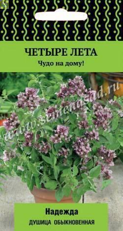 Купить оптом в Ботанике семена Душица Надежда обыкновенная Поиск бренд Поиск