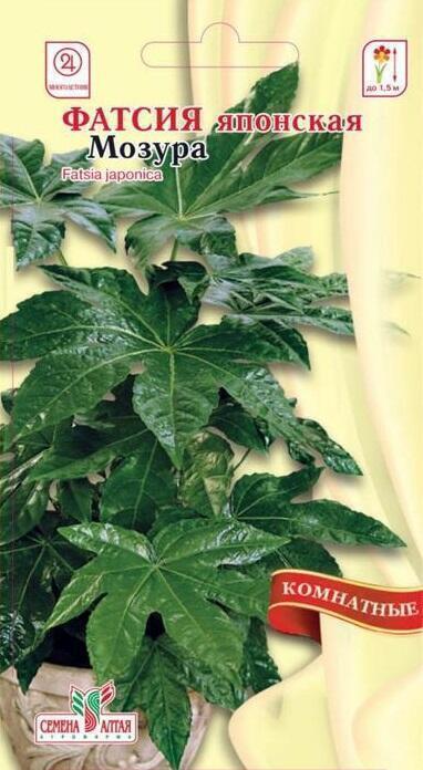 Купить оптом в Ботанике семена Фатсия японская Мозура СА бренд Семена Алтая