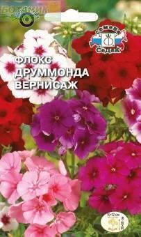 Купить оптом в Ботанике семена Флокс Вернисаж друммонда Сед бренд СеДеК