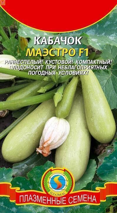 Купить оптом в Ботанике семена Кабачок Маэстро Плз бренд Плазмас