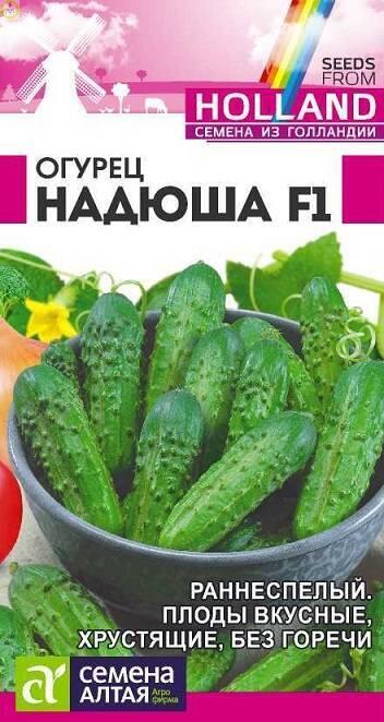Купить оптом в Ботанике семена Огурец Надюша F1 СА бренд Семена Алтая