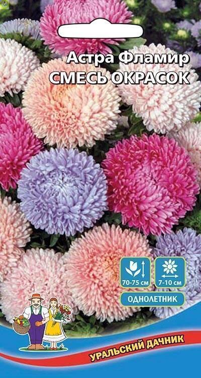 Купить оптом в Ботанике семена Астра Фламир смесь УД бренд Уральский дачник